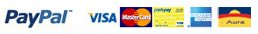 Visa Mastercard Paypal PostePay AmericanExpress Aura